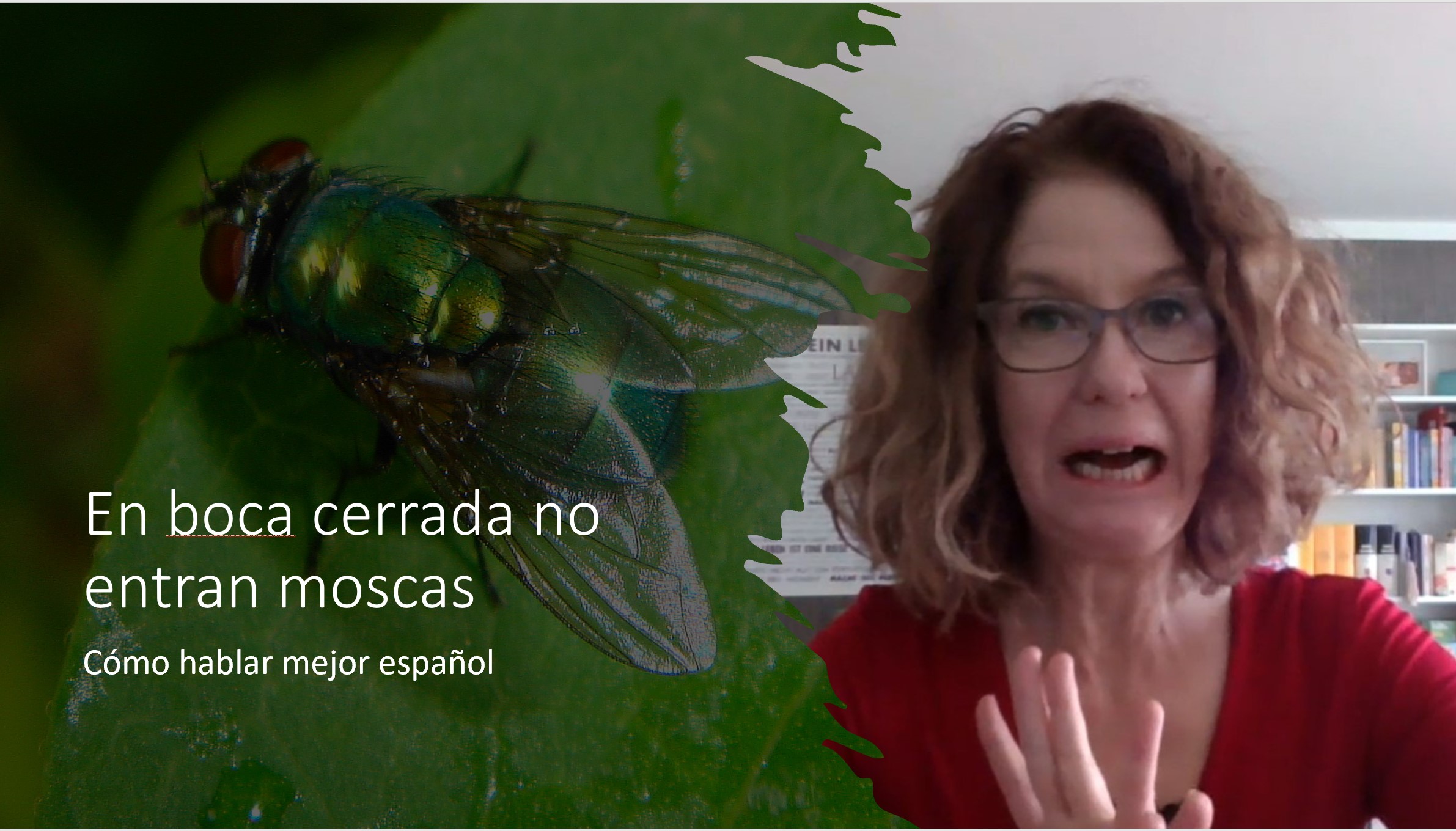 Cómo hablar mejor español: En boca cerrada no entran moscas
